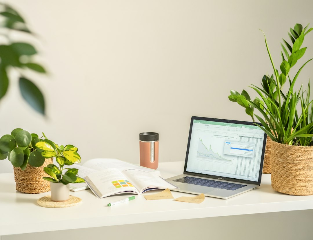 Ruhiger, aufgeräumter Arbeitsplatz mit Laptop und Pflanzen